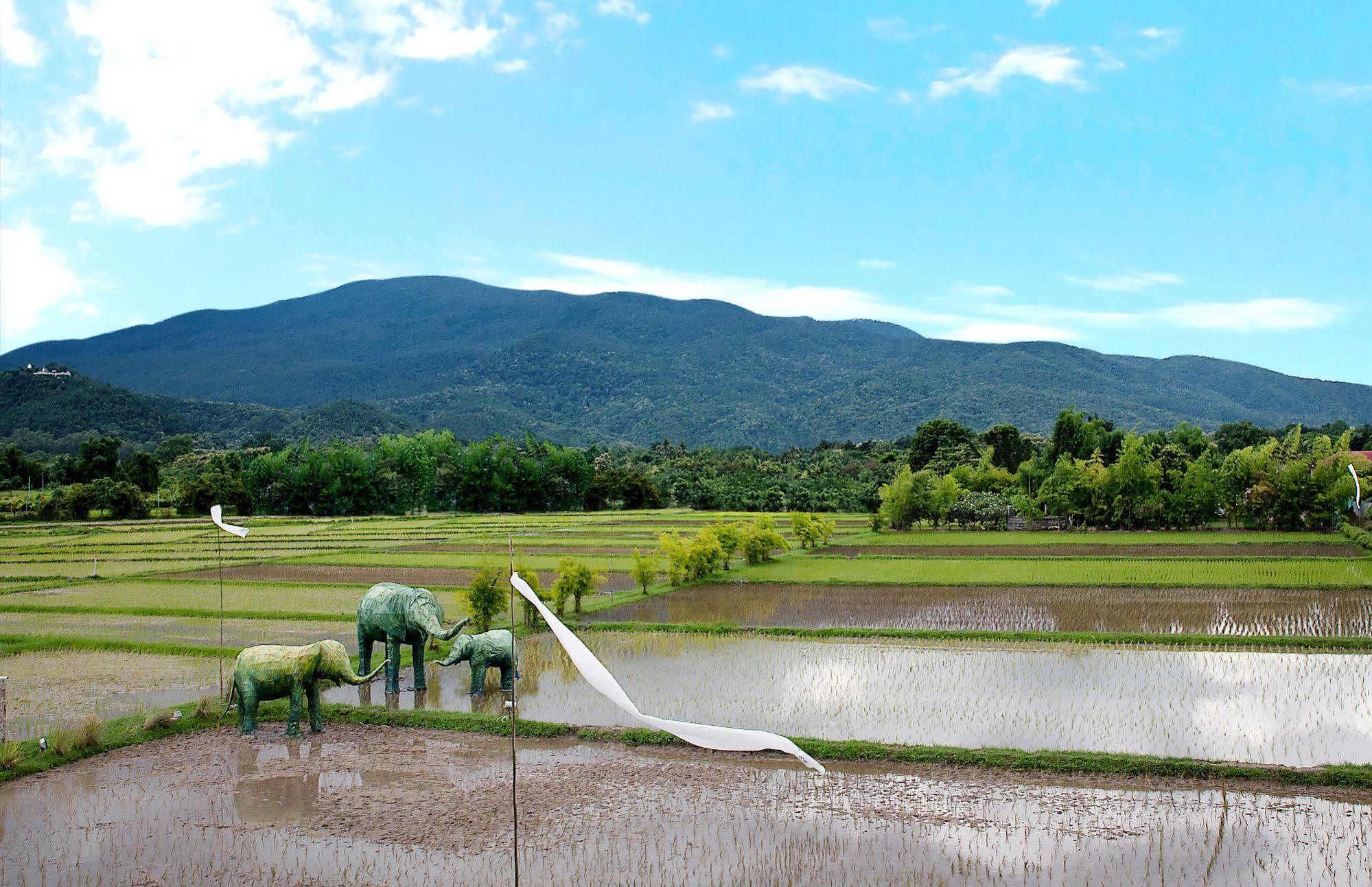 Khu nghỉ mát Oasis Baan Saen Doi Chiang Mai
